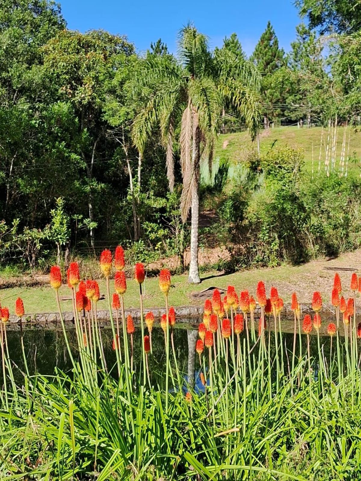 Sitio Serra Das Paineiras Villa Jundiaí Exteriör bild